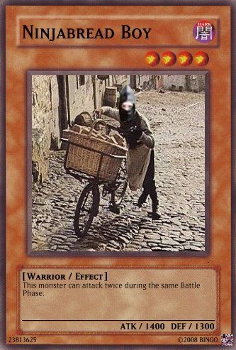 ninja2.jpg