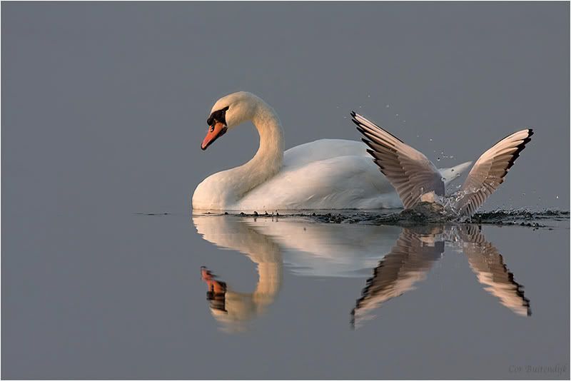 Fotografie