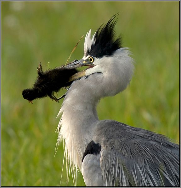 Fotografie