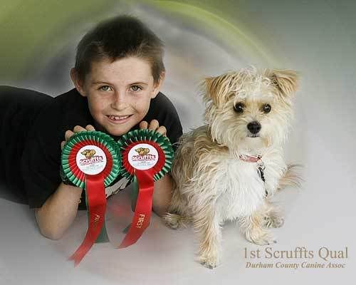 dog show 2