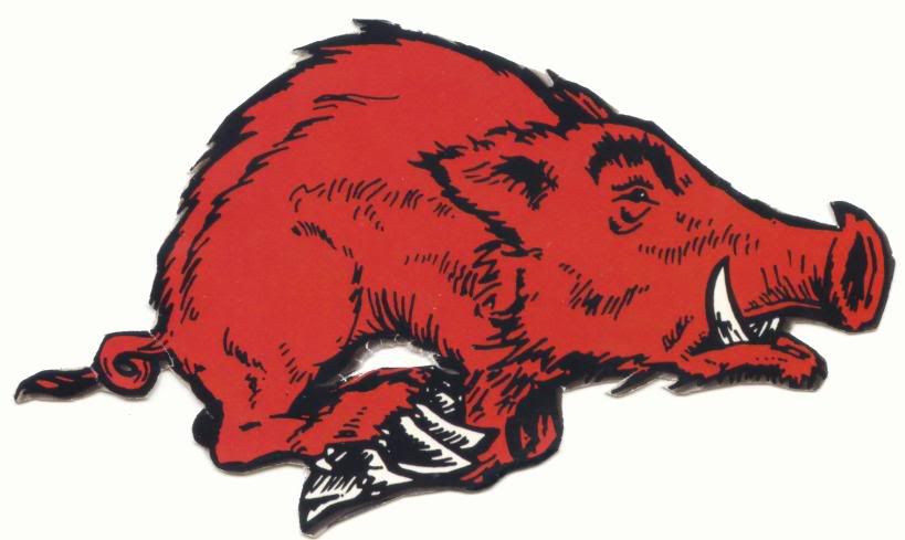 Razorback Pictures, Images and Photos