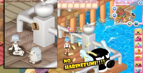 harinezumi is not here??!!
