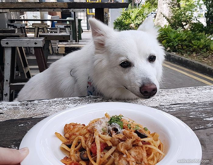 Chicken and Olive Pasta, Artistry Cafe - dog friendly Singapore