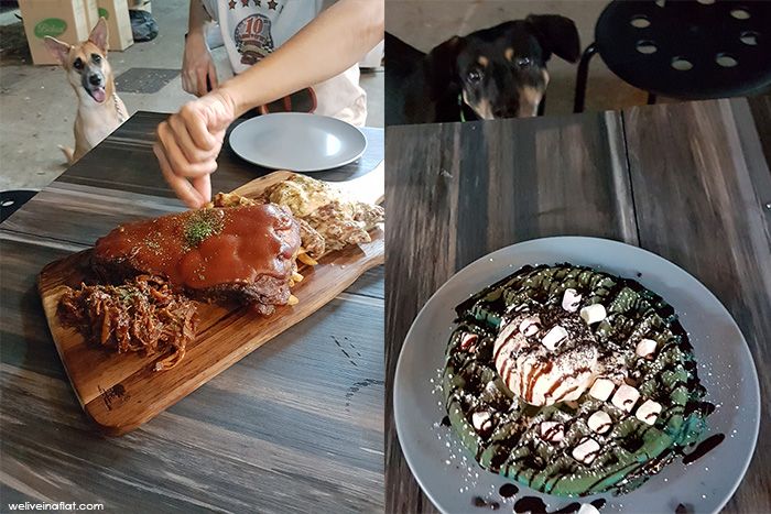 the workbench cafe ang mo kio dogfriendly