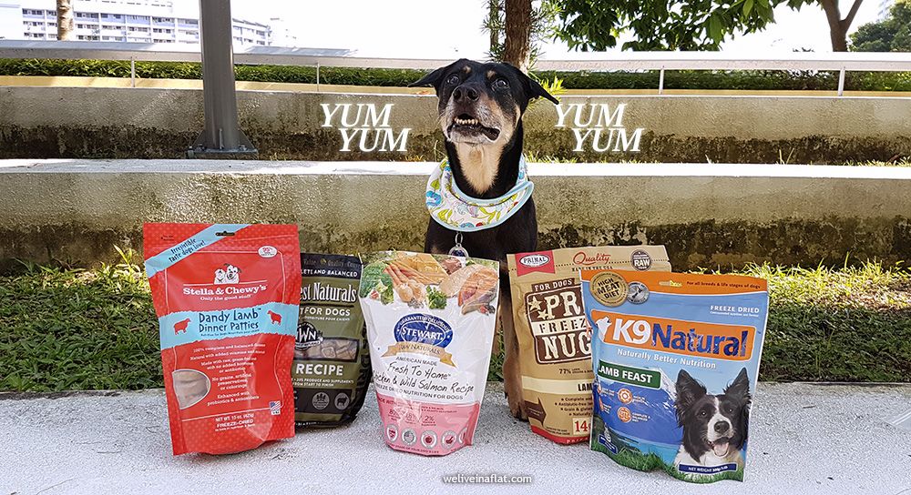 freeze dried raw dog food in Singapore