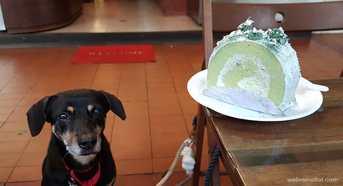 dog friendly cake shop ang mo kio singapore