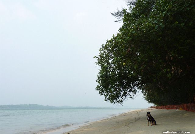 donna under a tree