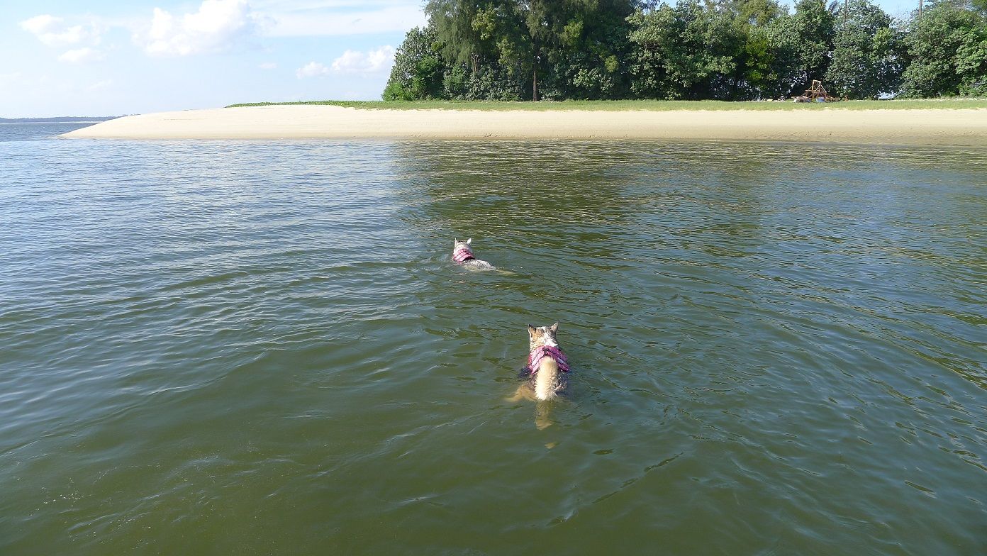 Seletar Island