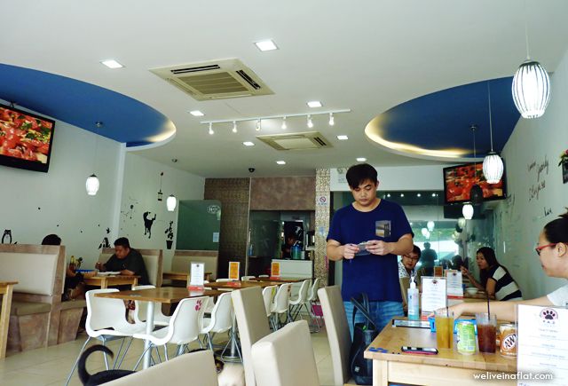 taz cafe human pov