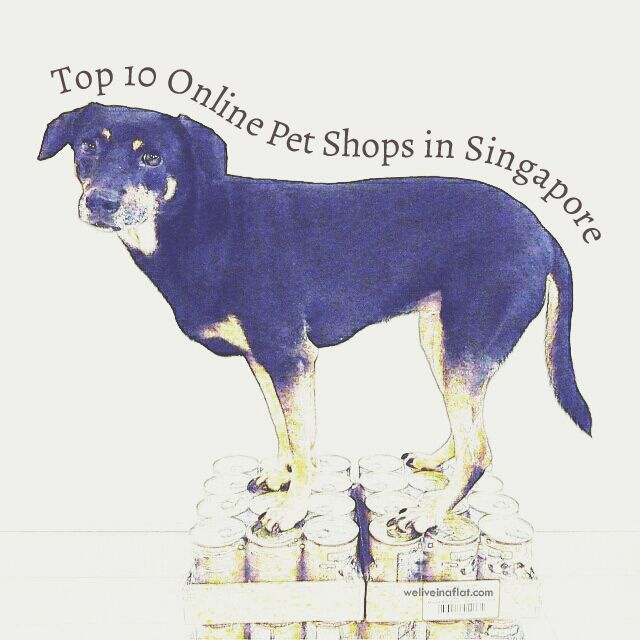 top 10 pet stores