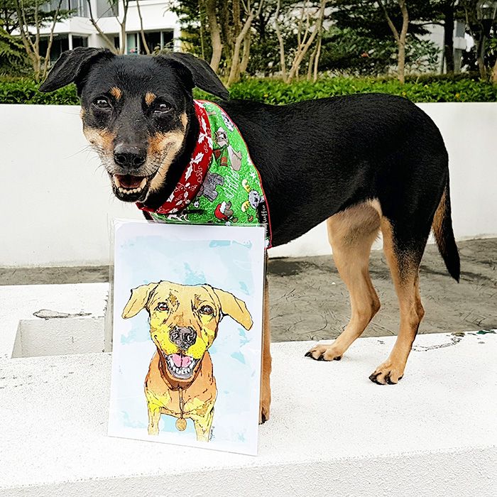 dog portrait amy spittle art
