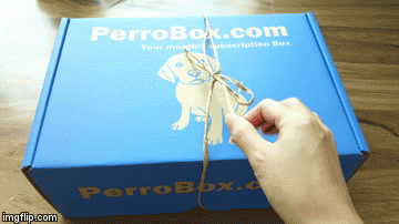 opening the perrobox subscription box for dogs