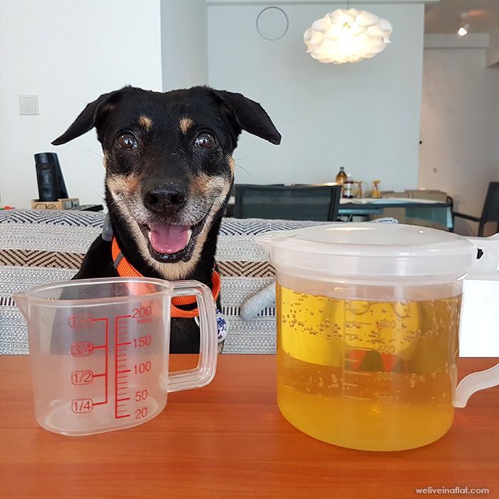 dog potty pee pad review in Singapore - vinegar