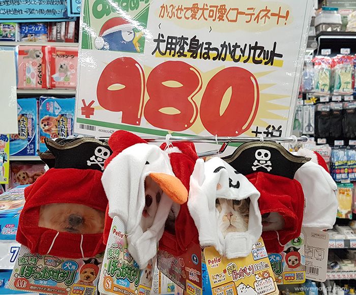 pet hoods at Don Quijote, Japan