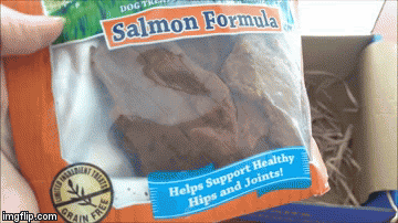 natural balance hip and joint salmon jerky