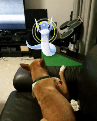 pokemon go singapore dog