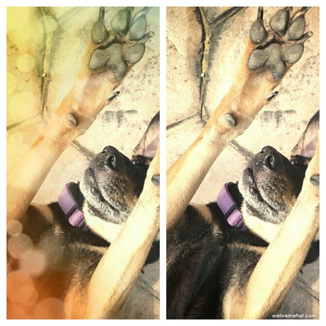With Bokeh on the left and and without Bokeh on the right