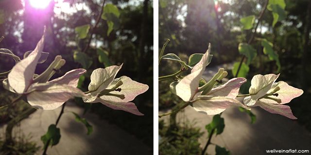 Bad Bokeh distracts, Good Bokeh enhances. In the picture on the left, the bokeh is glaring and takes away from the subject in the foreground. In the picture on the right, the bokeh is soft and contributes to the overall muted background supporting the subject.