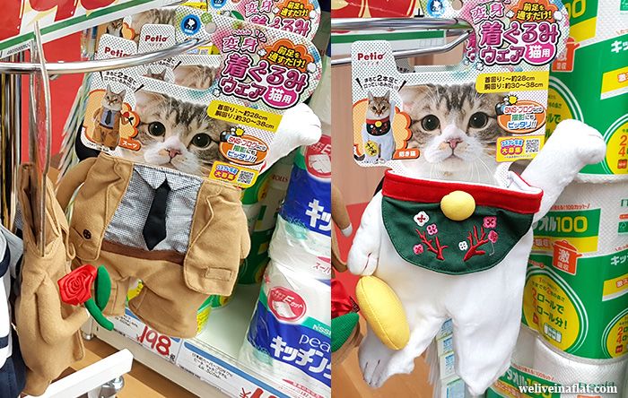 cat costumes in Don Quijote, Osaka & Kyoto
