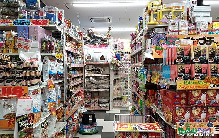 pet shopping in Don Quijote, Osaka