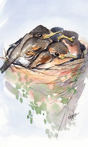 watercolor paintings of birds. Posted in irds, watercolor
