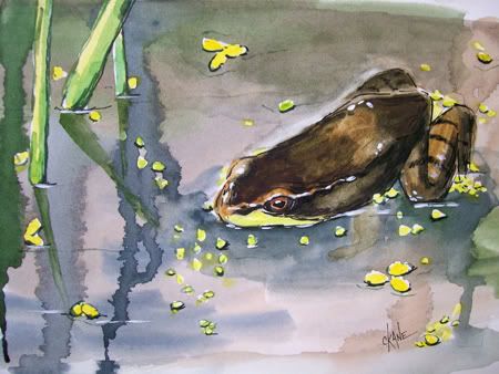 step 10 final green frog