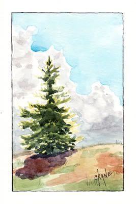 Pine Tree Sketches