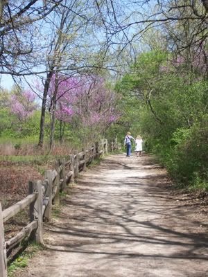spring trail