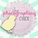 The Photographing Chick