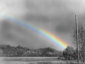 black and white Pictures, Images and Photos