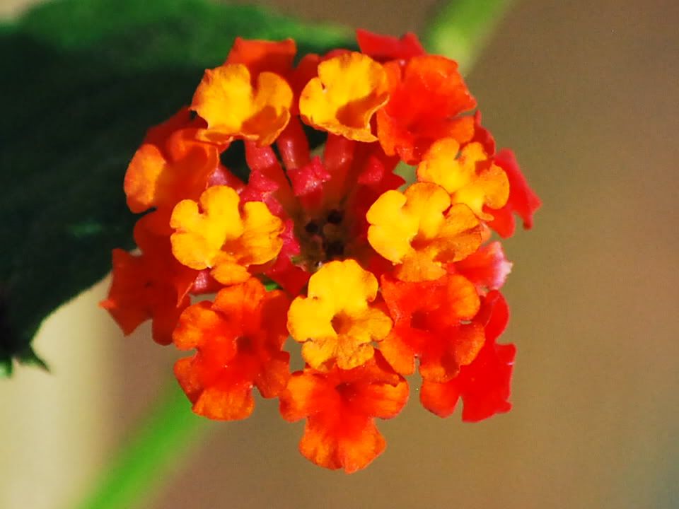 wwilkes_04230.jpg
