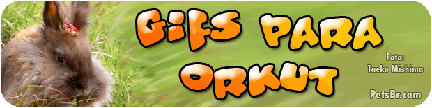Gifs Para Orkut - PetsBr.com