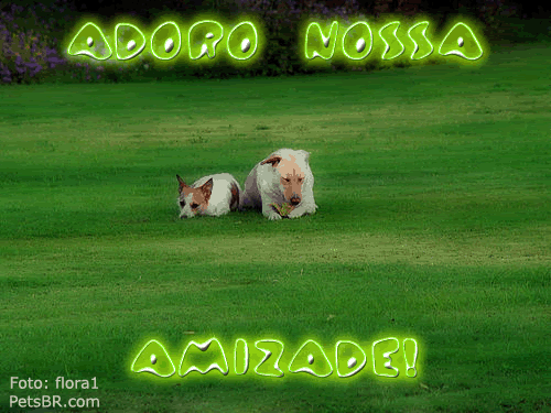 gif orkut animal natureza amor amizade te amo petsbr