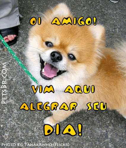 gif orkut animal natureza amor amizade te amo petsbr