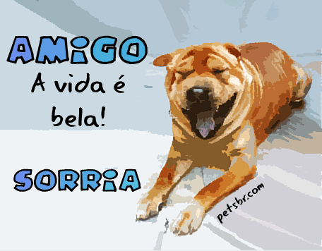 gif orkut animal natureza amor amizade te amo petsbr