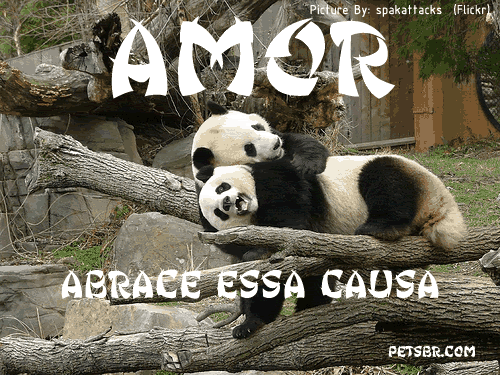 gif orkut animal natureza amor amizade te amo petsbr