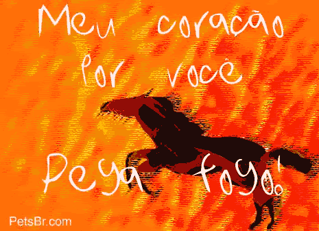 gif orkut animal natureza amor amizade te amo petsbr