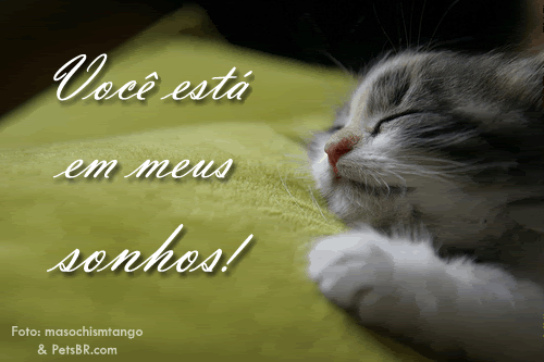 gif orkut animal natureza amor amizade te amo petsbr
