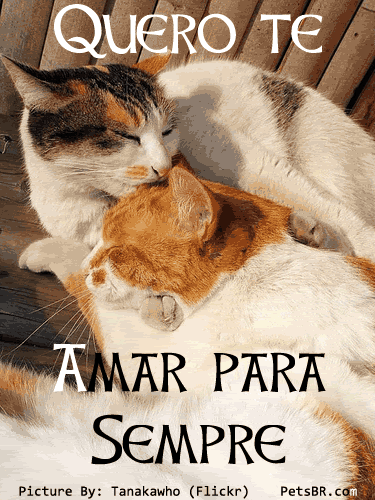 gif orkut animal natureza amor amizade te amo petsbr