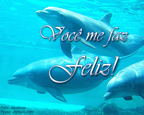 gif orkut animal natureza amor amizade te amo petsbr