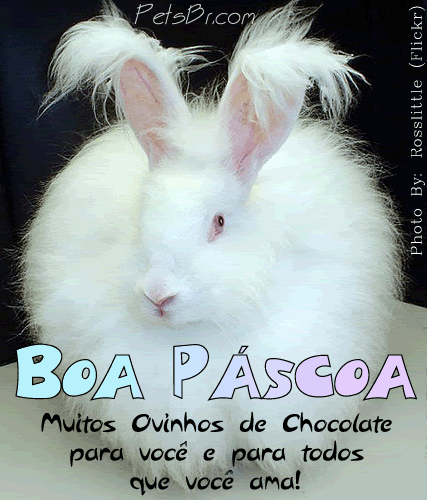 gif orkut animal natureza amor amizade te amo petsbr