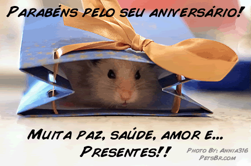 gif orkut animal natureza amor amizade te amo petsbr