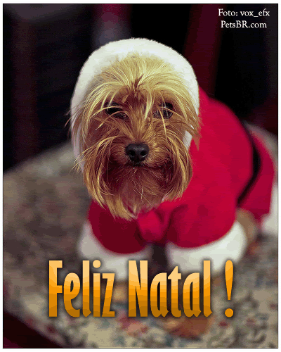 gif orkut animal natureza amor amizade te amo petsbr