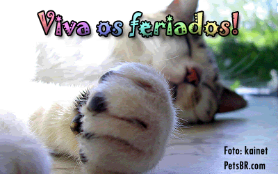 gif orkut animal natureza amor amizade te amo petsbr