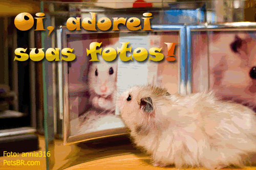 gif orkut animal natureza amor amizade te amo petsbr