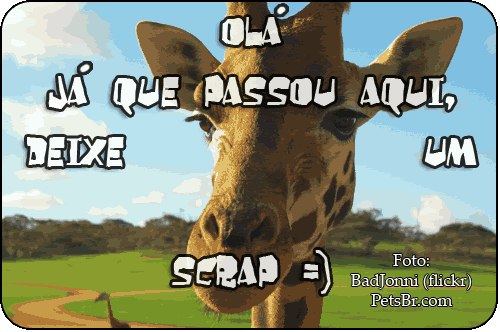 gif orkut animal natureza amor amizade te amo petsbr