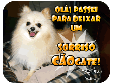 gif orkut animal natureza amor amizade te amo petsbr