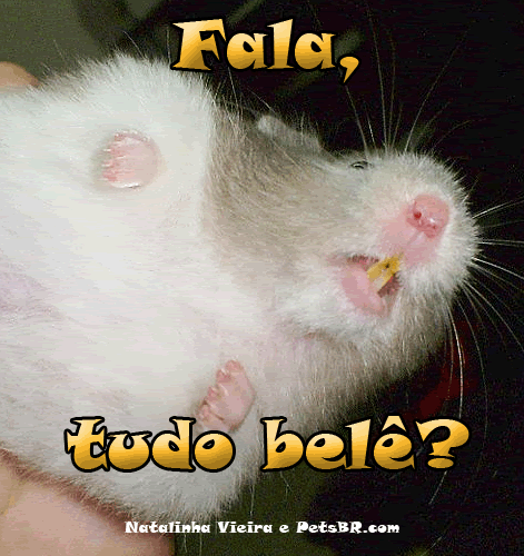 gif orkut animal natureza amor amizade te amo petsbr