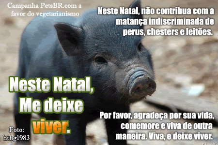 gif orkut animal natureza amor amizade te amo petsbr
