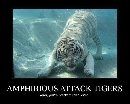 Forum Image: http://i300.photobucket.com/albums/nn15/aumynus/Random/amphibious_attack_tigers.jpg